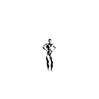 Bee Body