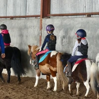 Ecurie Chauville Equestre