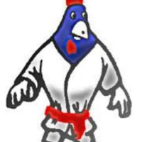 Judo Club De Gerland