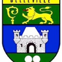 Ligue De Billard Du Centre