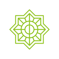 Vivid Psychology & Wellness
