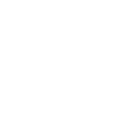 State of Motion