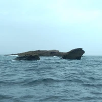 Centre Haliotis plongée