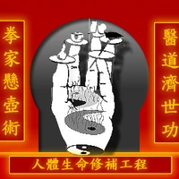 Chung Wah Kung Fu System