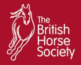 The Spanish Bit Riding School & Livery