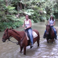North River Horse & Humanship Centre
