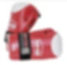 RKO Ringwood Kickboxing Organisation