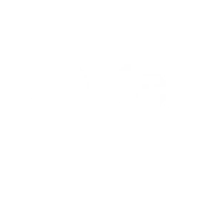 The Petchey Academy