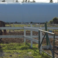 Equine Meadows Horseback