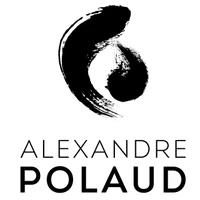 Alexandre Polaud Arts Energy Coaching Individuel Et Formations