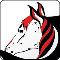 Jouault Equitation
