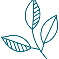 Capria Care Collective