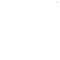 Willow's Leap Equestrian and Willow's Retreat Accommodation