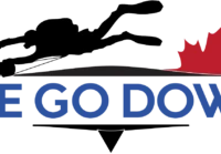 WeGoDown