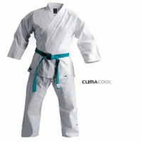 Mind Warrior Karate