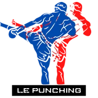 Punching boxe Carcassonne