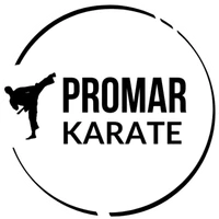 Promar Karate Elmira