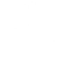 Chi Junky
