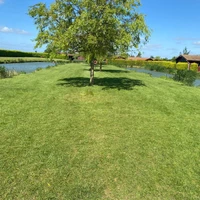 Lingmere Fishery