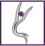 Hi-Energy Health Club exclusively Ladies only