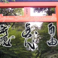 Ninjutsu Bujinkan Shinobi Dojo Marseille Cabries