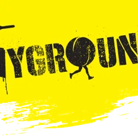 The Playground