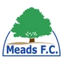 East Grinstead Meads FC