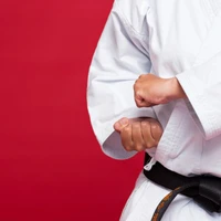 Lightning Fist Academy