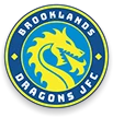 Brooklands Dragons JFC - Sale