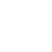 Level