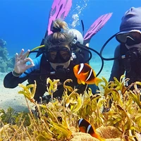 Dive The World