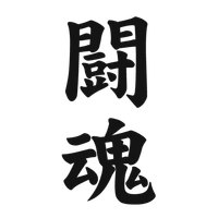 TOKON Karate - Milano
