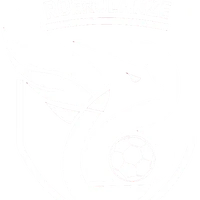 A.s.d Roerolanze calcio