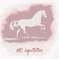 Of Horses And Words Mélanie Courtois