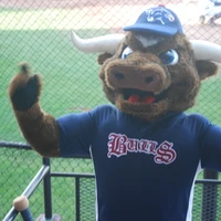 Lethbridge Bulls