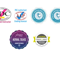 Celestial Aerial Arts