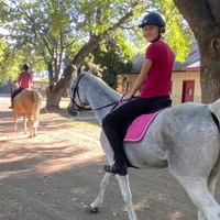 Foley Equestrian