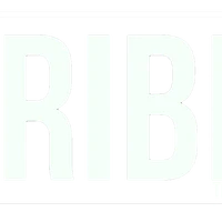 Tribe Training