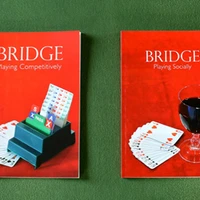 Dorset Bridge