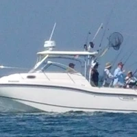 South Coast Fishing Charters