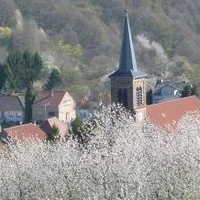 ASSOCIATION DES CAVALIERS D'ALSTING