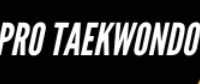 Pro Taekwondo School