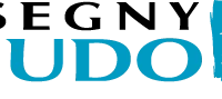 Segny Judo