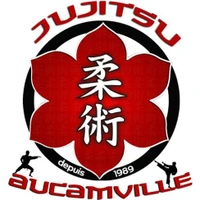 Jujitsu Aucamville