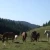 Ferme Equestre du Berbois