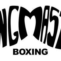Ringmaster Boxing Gym