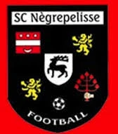 Piscine Municipale Negrepelisse