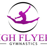 High Flyers Gymnastics