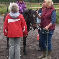 Chard & District Riding for the Disabled Group