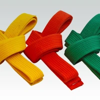 Judo Weppes